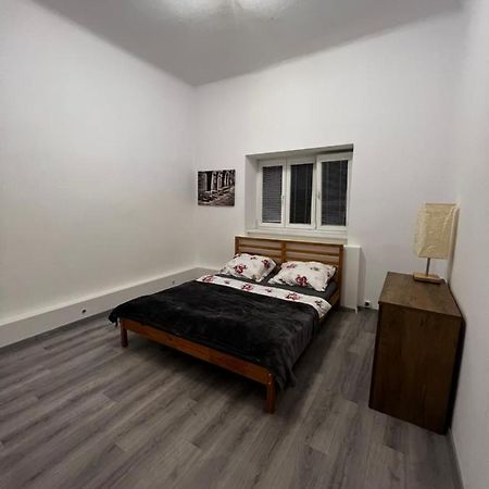 Mlynsky Ostrov Apartment 2 Zdice エクステリア 写真