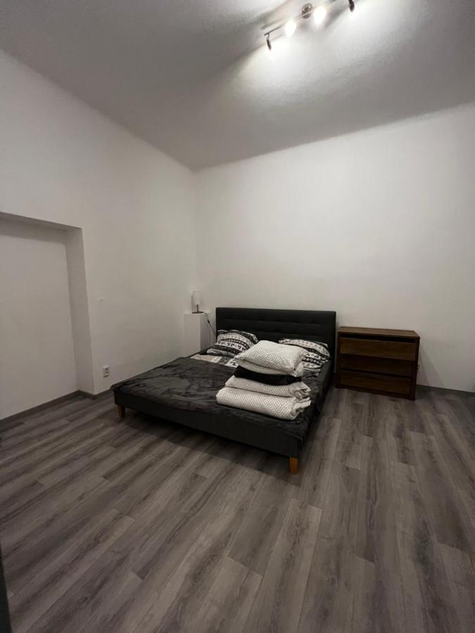 Mlynsky Ostrov Apartment 2 Zdice エクステリア 写真
