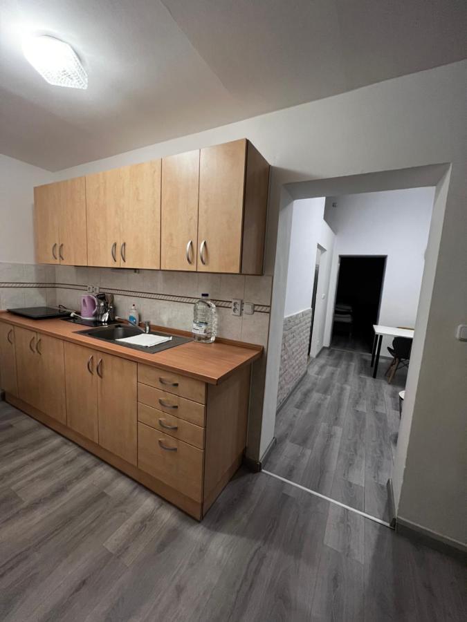 Mlynsky Ostrov Apartment 2 Zdice エクステリア 写真